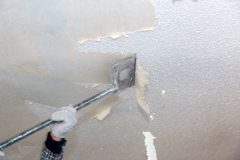 Popcorn Ceiling Stripping
